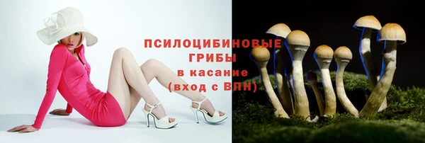мдма Медногорск